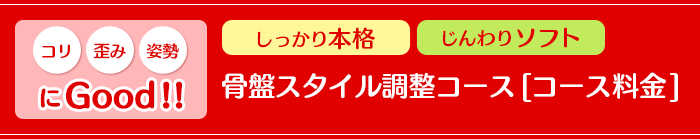 コリ・歪み・姿勢にGood!!しっかり本格　じんわりソフト　骨盤スタイル調整コース「コース料金」