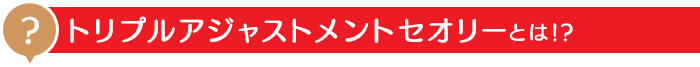 トリプルアジャストメントセオリーとは！？