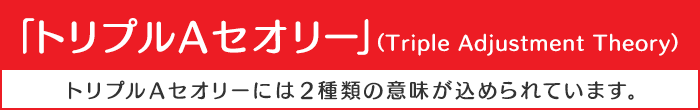 トリプルAセオリー（Triple Adjustment Theory）トリプルAセオリーには2種類の意味を込めて