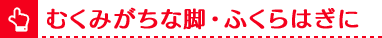 むくみがちな脚・ふくらはぎに